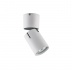 Потолочный светильник Vele Luce Carrisi VL8061S21