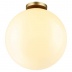 Потолочный светильник Odeon Light Bosco 4250/1C