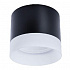Потолочный светильник Arte Lamp Castor A5554PL-1BK