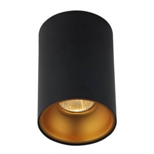 Накладной светильник Crystal Lux CLT 411C BL-GO