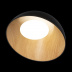 Потолочный светодиодный светильник Loft IT Egg 10197/500 Black