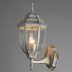 Светильник уличный настенный Arte Lamp Pegasus A3151AL-1WG