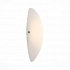 Светодиодный настенный светильник ST Luce Snello SL508.511.01