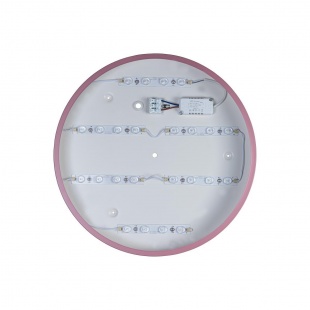 Потолочный светодиодный светильник Loft IT Axel 10003/24 pink