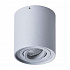 Накладной светильник Arte Lamp Falcon A5645PL-1GY