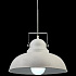 Подвесной светильник Arte Lamp Martin A5213SP-1WG