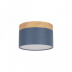Накладной светодиодный светильник Loft IT Grape 10162 Blue