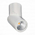 Накладной светодиодный светильник ST Luce ST650.542.10