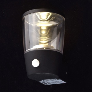 Настенный уличный светильник MW-LIGHT Меркурий 807021901