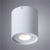 Накладной светильник Arte Lamp Galopin A1460PL-1WH