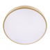 Потолочный светодиодный светильник Loft IT Flims 10228/A