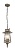 Подвесной уличный светильник Favourite Leyro 1496-1P