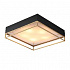 Потолочный светильник ST Luce Chodo SL1127.422.05