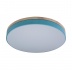 Потолочный светодиодный светильник Loft IT Axel 10001/36 blue