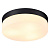 Потолочный светильник Arte Lamp Aqua-Tablet A6047PL-3BK