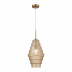 Подвесной светильник ST Luce REXITE SL1001.203.01