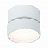 Потолочный светодиодный светильник ST Luce ST651.532.14
