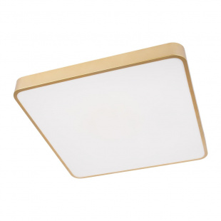 Потолочный светодиодный светильник Loft IT Flims 10228/D