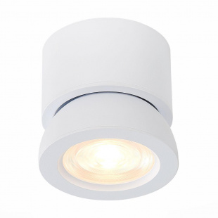 Накладной светодиодный светильник ST Luce ST654.532.10