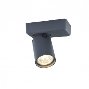 Потолочный светильник Vele Luce Carrisi VL8067S31