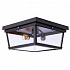 Потолочный светильник Loft IT Loft3110-2C