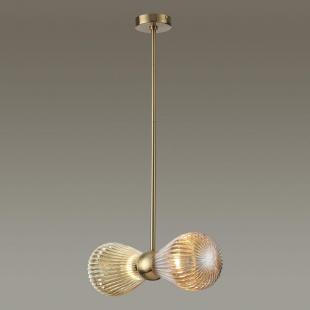 Подвесная люстра Odeon Light Exclusive Elica 5402/2