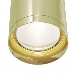 Накладной светильник Maytoni Focus C017CW-01G