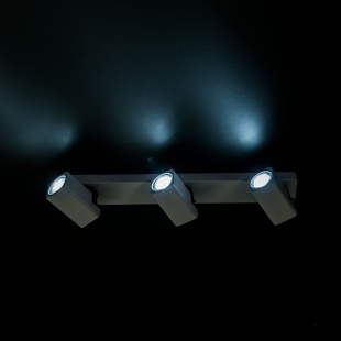 Спот Citilux Норман CL533630