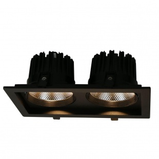 Встраиваемый светильник Arte Lamp Privato A7018PL-2BK