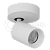 Накладной светодиодный светильник LeDron SAGITONY-R60-White