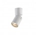 Потолочный светильник Vele Luce Carrisi VL8061S11