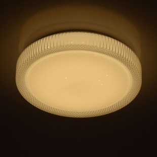 Потолочный светодиодный светильник с пультом ДУ MW-Light Ривз 4 674013901