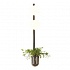 Настенный светильник Odeon Light Flower 4681/2WA