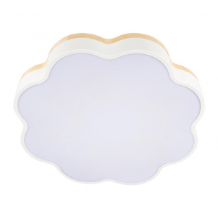 Потолочный светодиодный светильник Loft IT Axel 10225/36 White