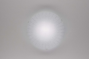 Настенно-потолочный светильник Citilux Лучи CL918002