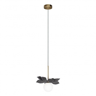 Подвесной светильник Loft IT Monro 10213/B Black