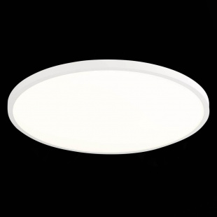 Потолочный светодиодный светильник ST Luce ST601.542.48
