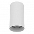 Потолочный светильник Lightstar Rullo 216486