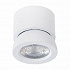 Накладной светодиодный светильник ST Luce ST654.542.10