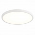 Потолочный светодиодный светильник ST Luce ST601.532.32