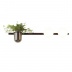 Настенный светильник Odeon Light Flower 4681/2W Настенный светильник Odeon Light Flower 4681/2W
