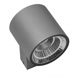 Настенный уличный светодиодный светильник Lightstar Paro 361692