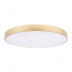 Потолочный светодиодный светильник Loft IT Flims 10228/B