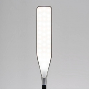 Настольная лампа Eurosvet Urban 80422/1 серебристый