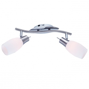 Поворотный настенно-потолочный спот Arte Lamp 103 A4590AP-2SS