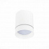 Потолочный светодиодный светильник ST Luce ST115.532.07