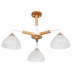 Люстра Arte Lamp Matthew A5032PL-3BR