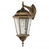 Настенный уличный светильник Arte Lamp Genova A1204AL-1BN