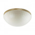 Потолочный светильник Odeon Light Malaga 4936/3C Потолочный светильник Odeon Light Malaga 4936/3C