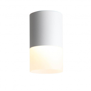 Накладной светодиодный светильник ST Luce Ottu ST100.542.10